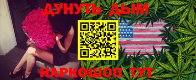 гидра Лесосибирск