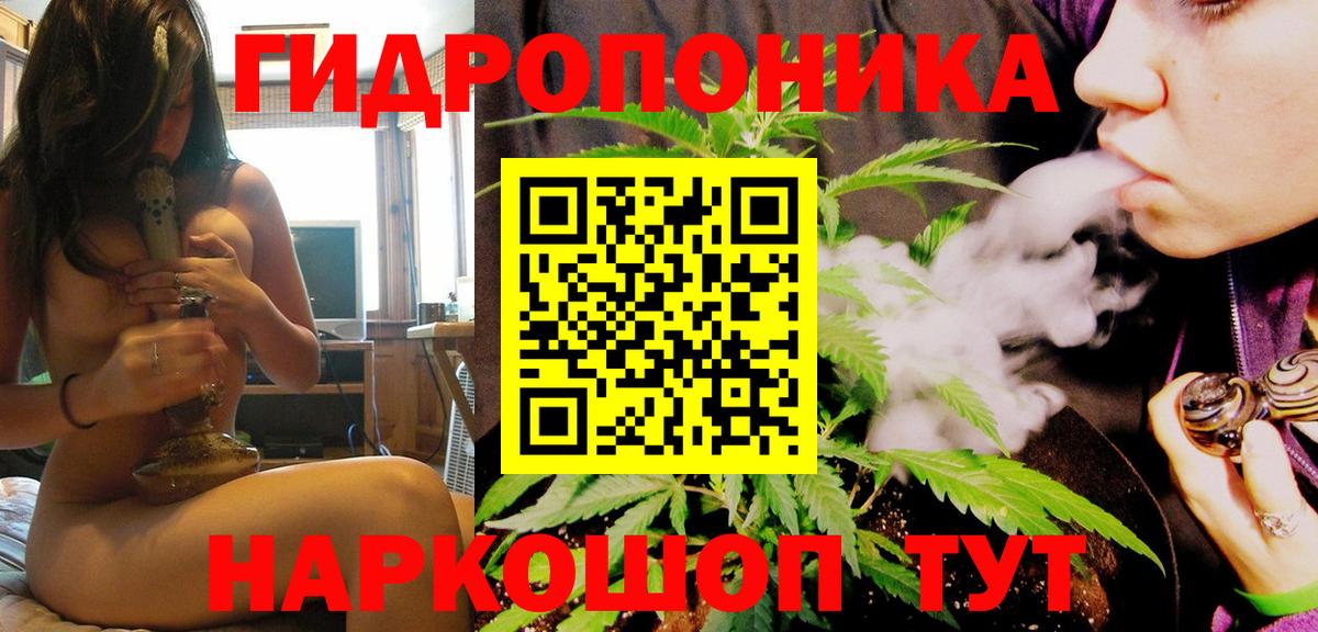 Горно-Алтайск  Марихуана Bruce Banner  Марихуана тримм  Каннабис индика  Конопля Amnesia  Вход с VPN 